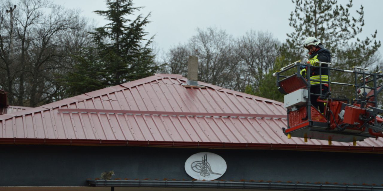 Mahsur kalan kedinin imdadına itfaiye ekipleri yetişti