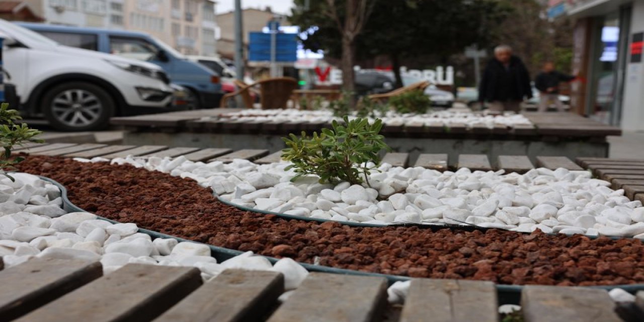 Peyzaj çalışmaları devam ediyor