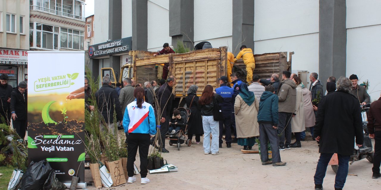 Bafra'da 23 bin 900 fidan dağıtıldı