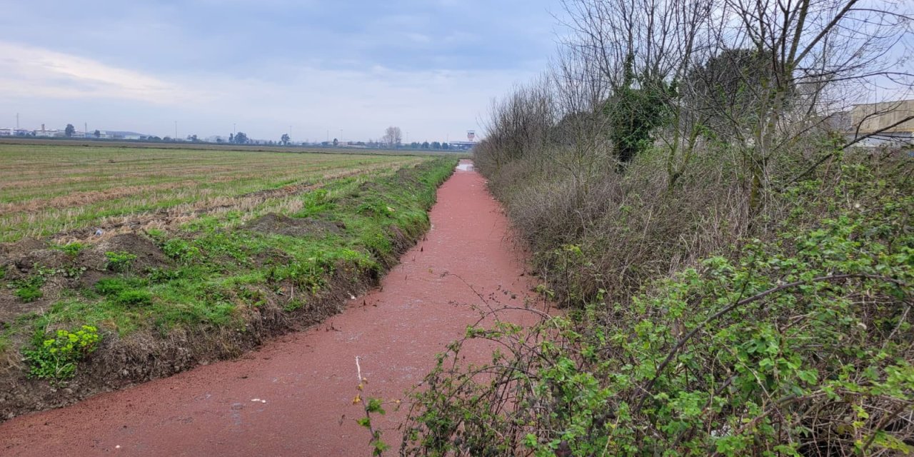 Samsun'da sulama kanalındaki su yüzeyi kırmızıya dönüştü
