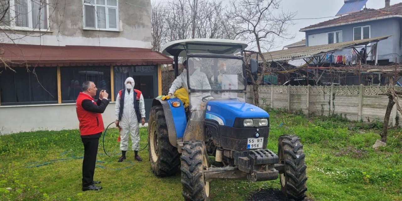 Kahverengi kokarca ile mücadele sürüyor