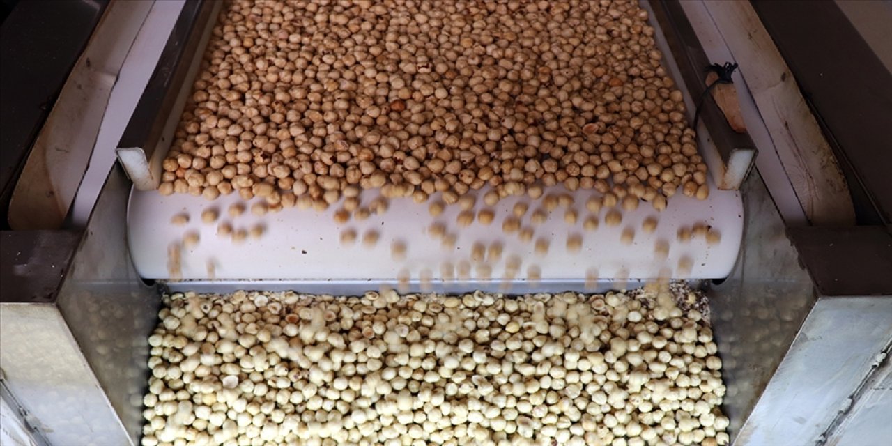 Fındık ihracatı dikkat çekti