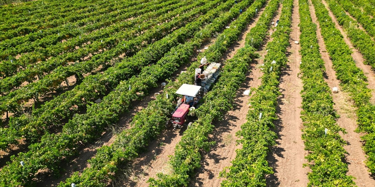 Tarımsal destekleme ödemesi bugün yapılacak