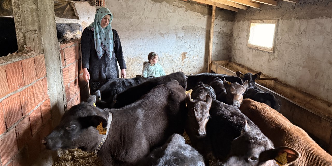 Devlet desteğinden yararlanarak hayvan sürüsünü büyüttü