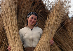 Samsun sazları ihraç ediliyor