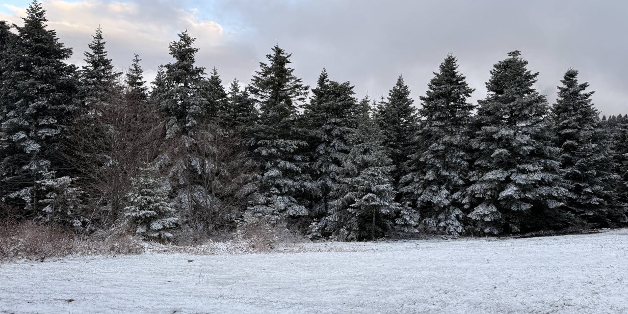 Nisan ayında yağan kar doğayı beyaza bürüdü