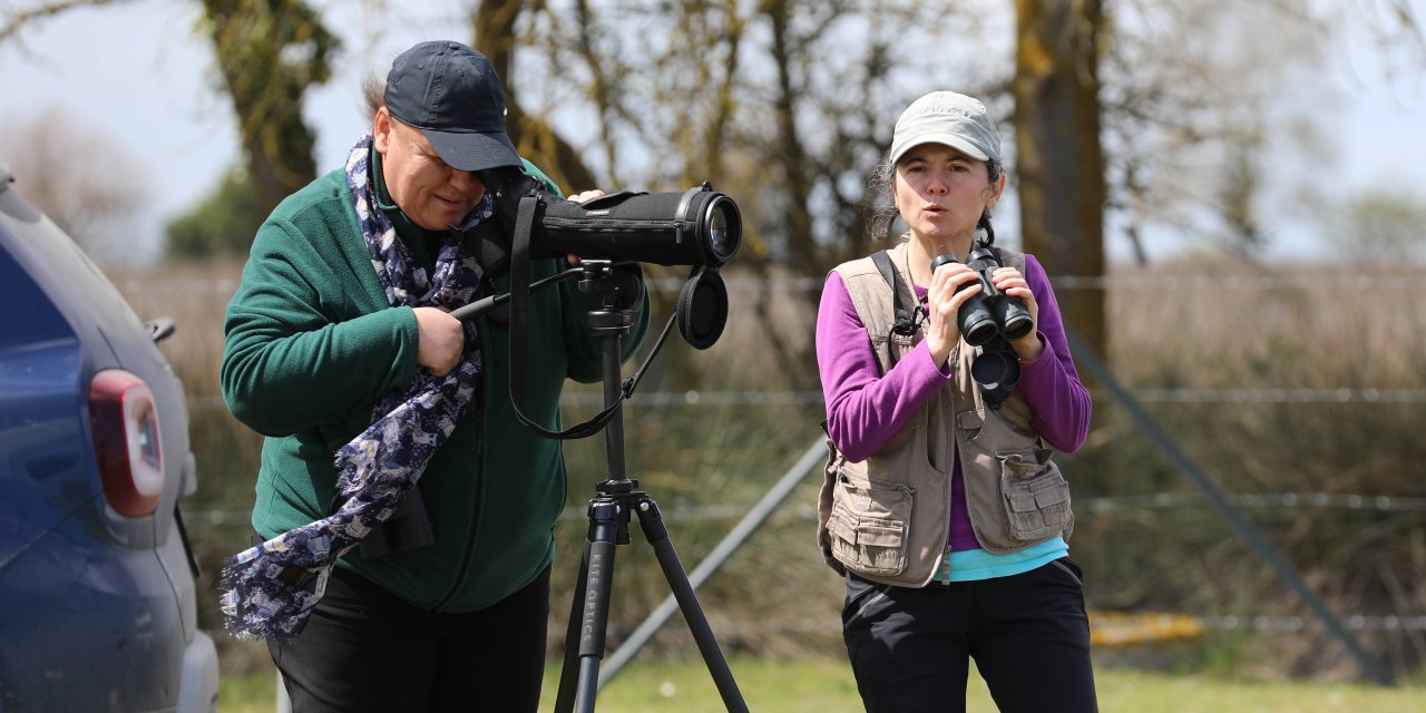 Kızılırmak Deltası'nda keskin uçlu sazlar temizlendi