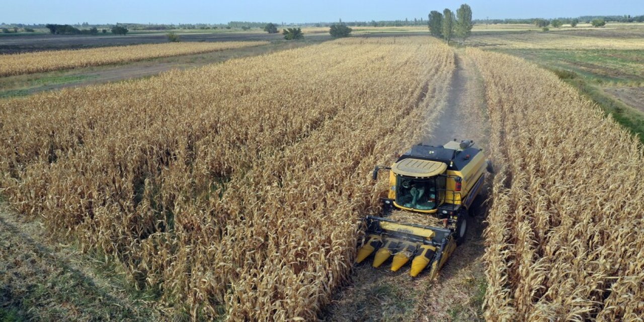 Hububat üretiminde gözler sıcaklıklara çevrildi