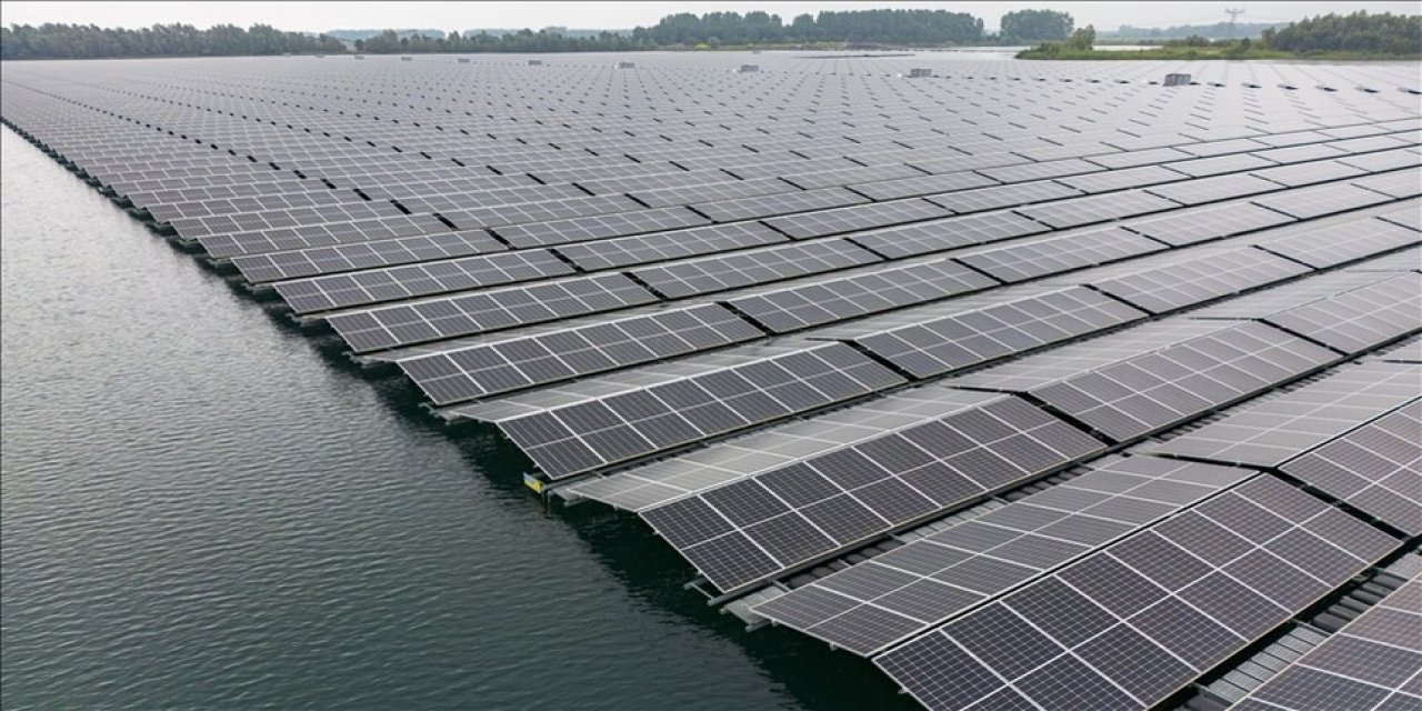 Yüzer güneş enerji santralleri doğal yaşama çatı oluyor