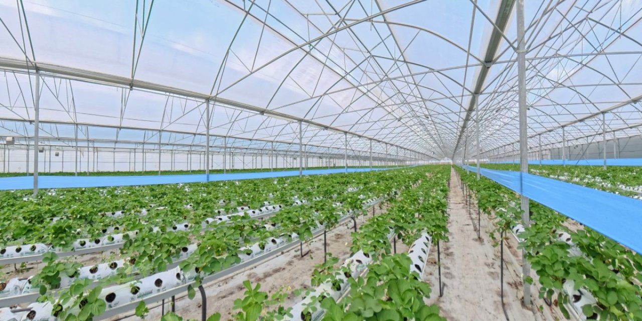 Bafra Sera OSB modern tarımın yeni merkezi oluyor