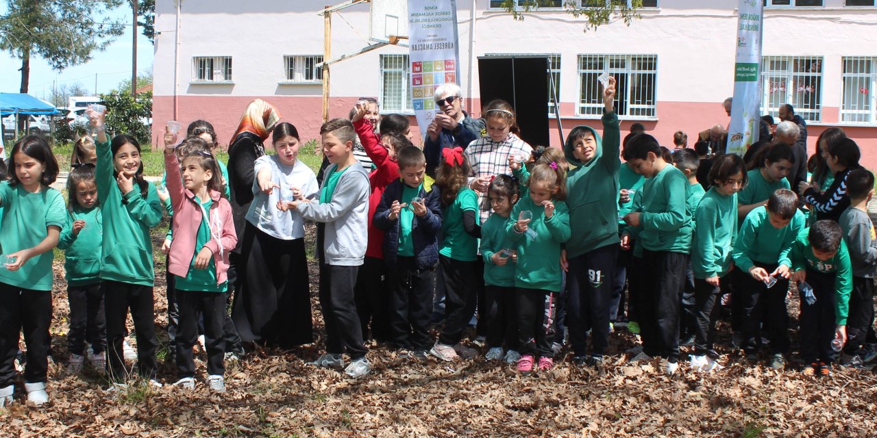 Samsun'da doğaya uğur böcekleri salındı