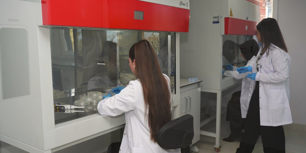 Bitki Doku Kültürü Laboratuvarı açılacak