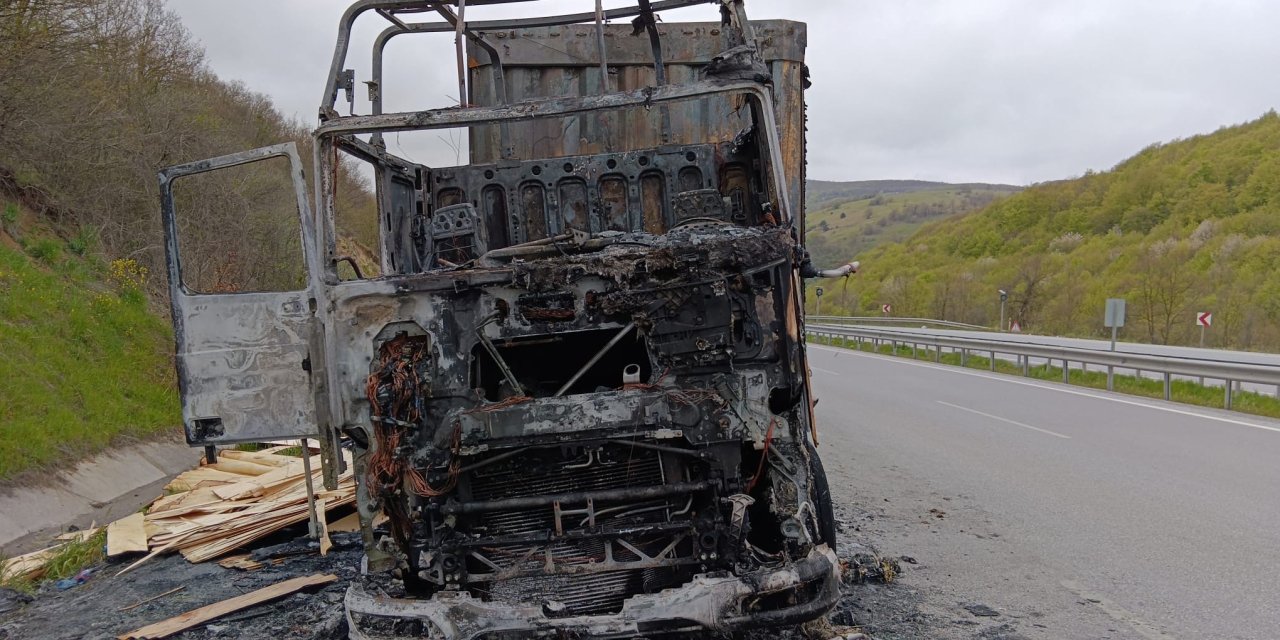 Seyir halindeki ahşap yüklü tır yandı