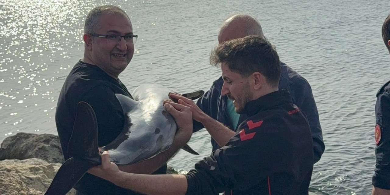 Samsun’da kayalıklara sıkışan yunusu polis kurtardı