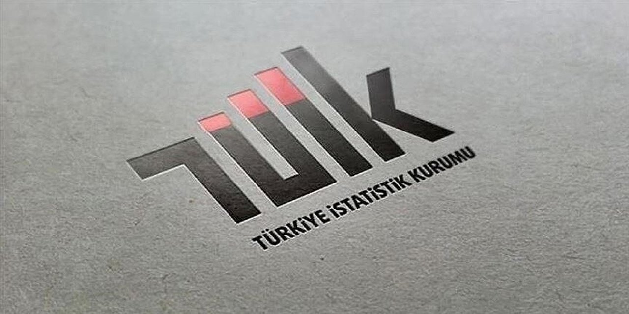 TÜİK dış ticaret endekslerini açıkladı