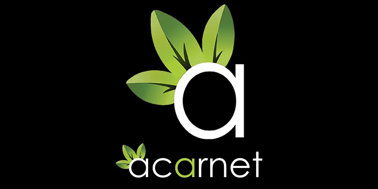 İstanbul Web Tasarım