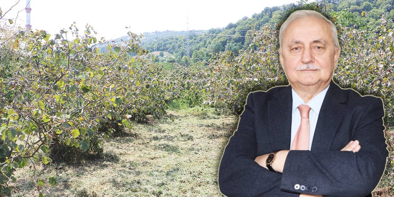 Fındıkta sulama lüks değil zorunlu bir ihtiyaçtır