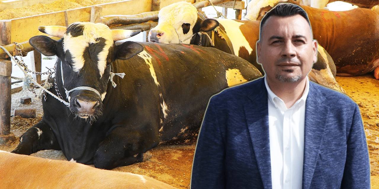Kurbanlıkların mutlaka küpeli ve veteriner raporlu olması gerekiyor