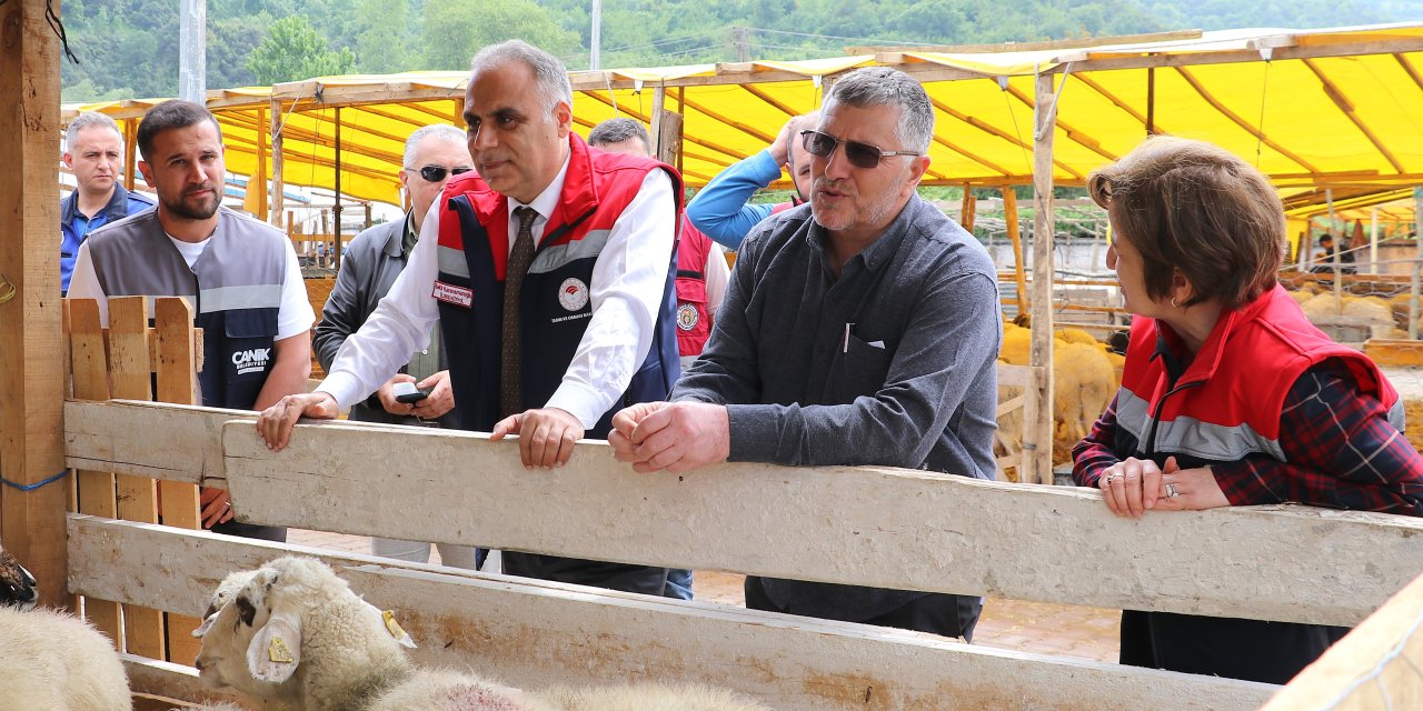 Canik’te kurban pazarı denetlendi