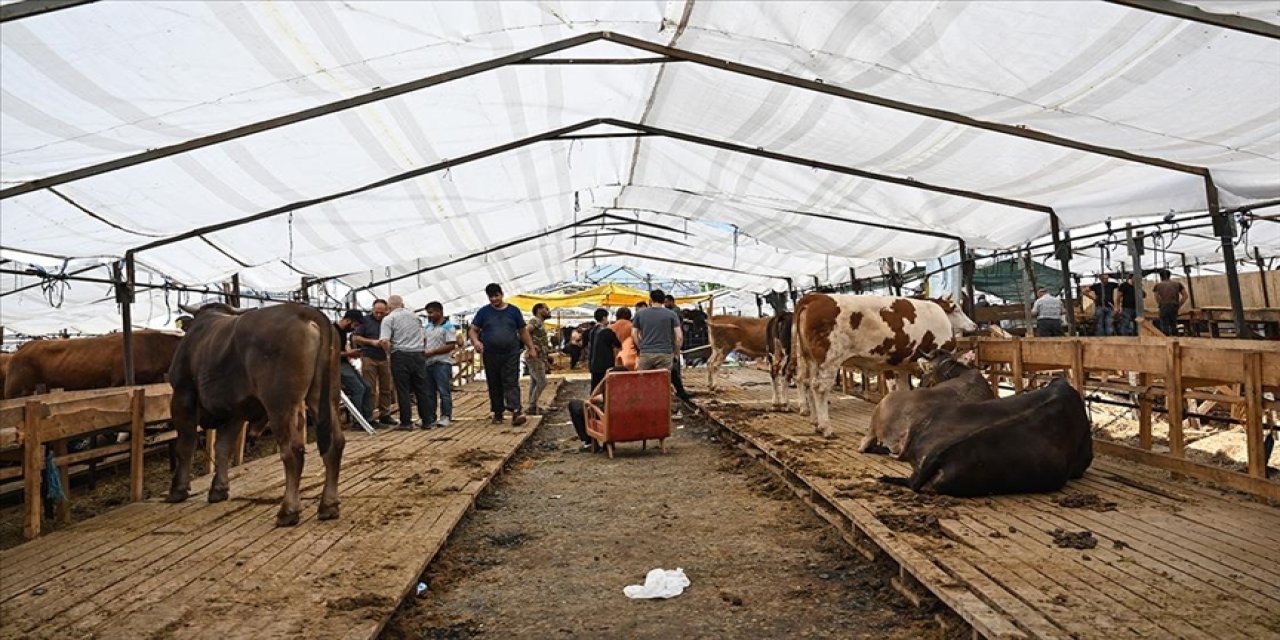 Sosyal medyada sahte kurban ilanlarına dikkat