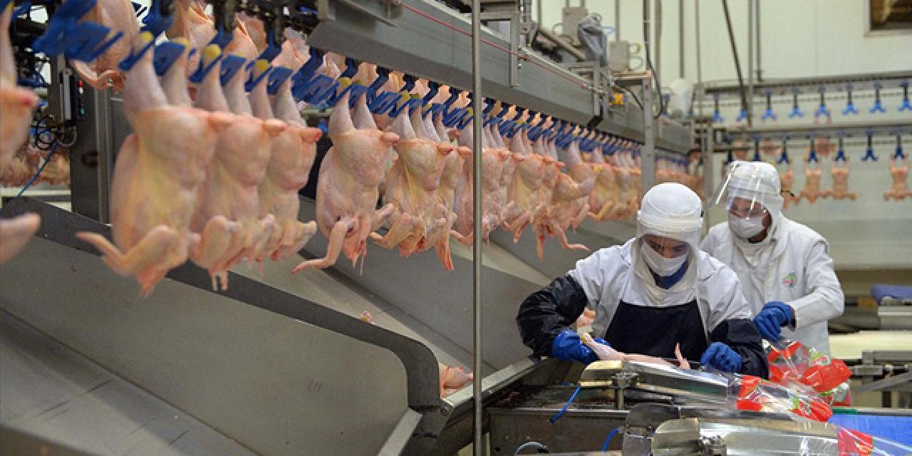 Beyaz et sektöründe haksız fiyat artışı soruşturması