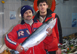 Balıkçının imdadına Torik yetişti