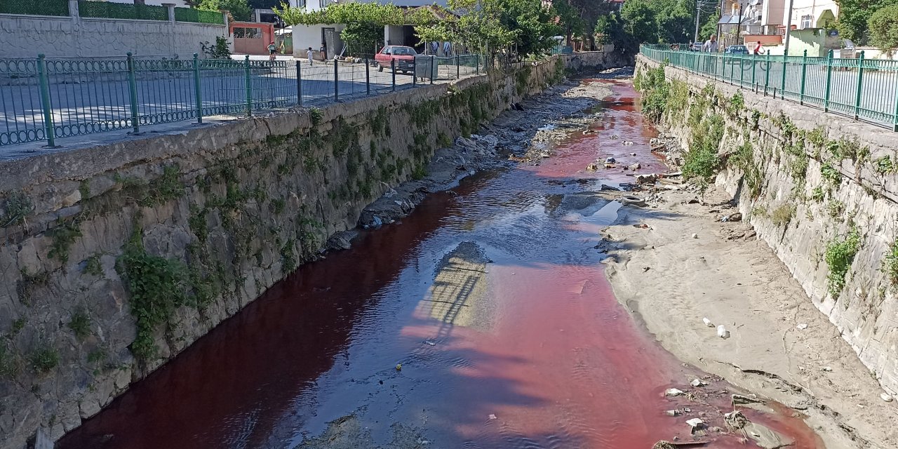 Dereyi zirai ilaç ile kirleten işletmeye suç duyurusu