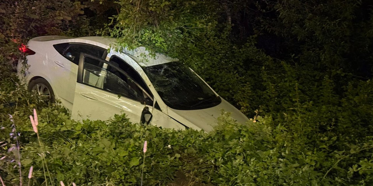 Devrilen otomobildeki 2 kişi yaralandı