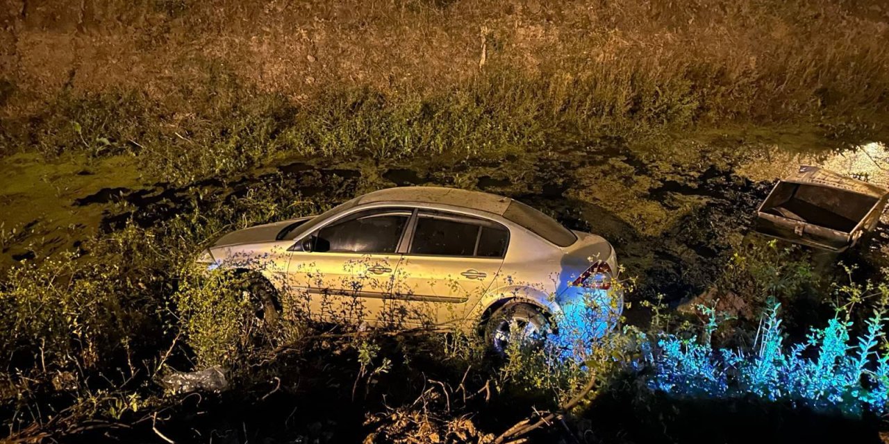 Tarlaya giren otomobilin sürücüsü yaralandı
