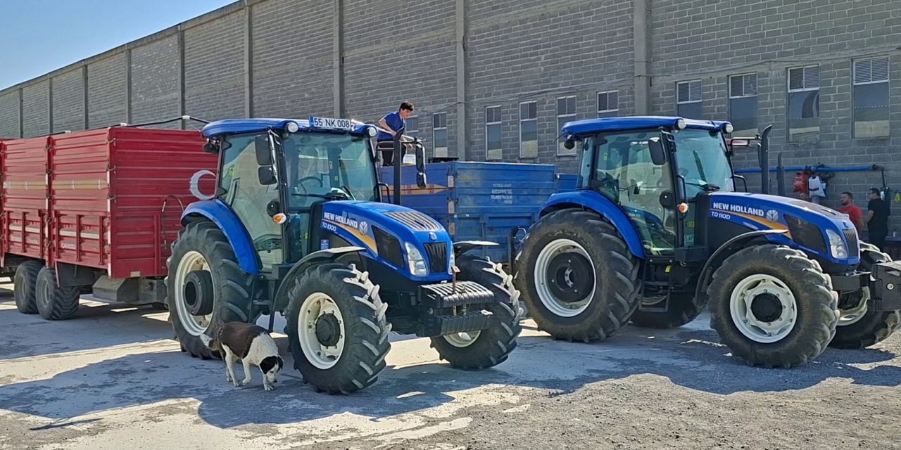 TMO Samsun'da hububat alımlarına başladı