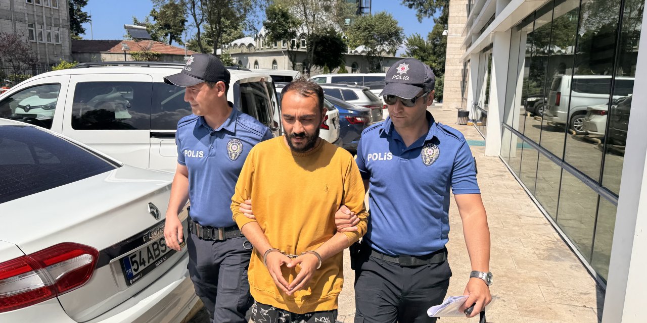 Samsun'da kediye tekme atan şüpheli tutuklandı