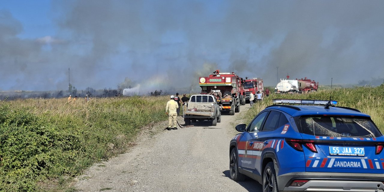 Samsun'da sazlık alanda çıkan yangın söndürüldü