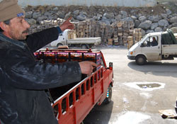 Halin halleri büyük