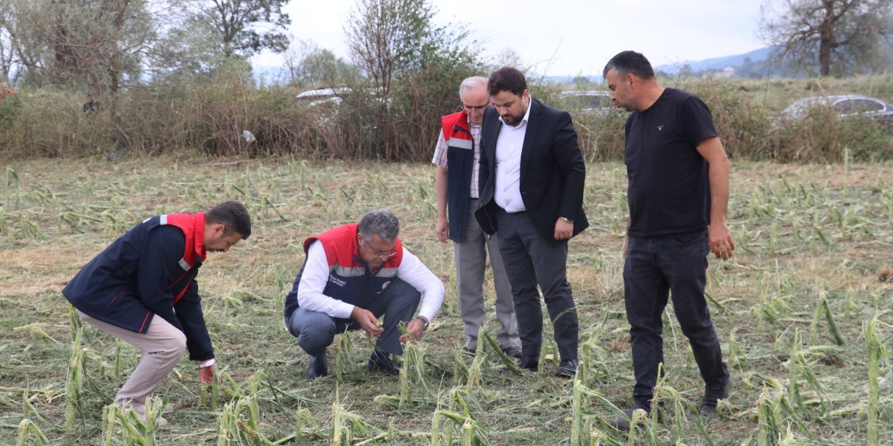 Samsun'da 40 bin dekar tarım arazisi hasar gördü