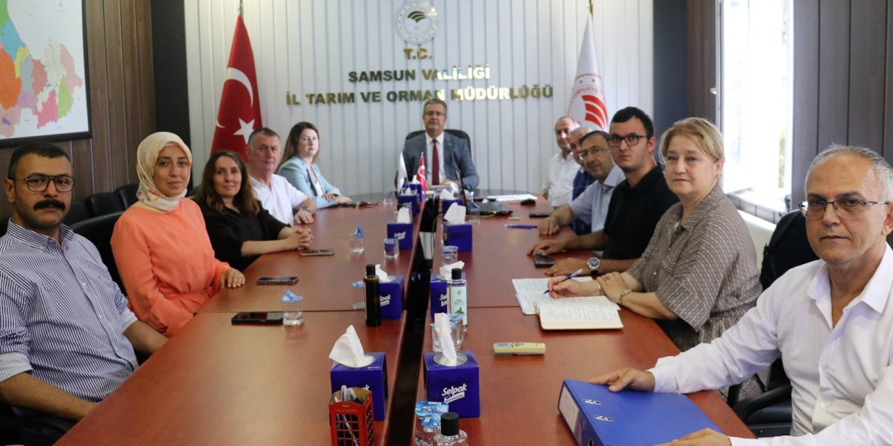 Samsun'da rekolte tahmini arazi çalışmaları tamamlandı