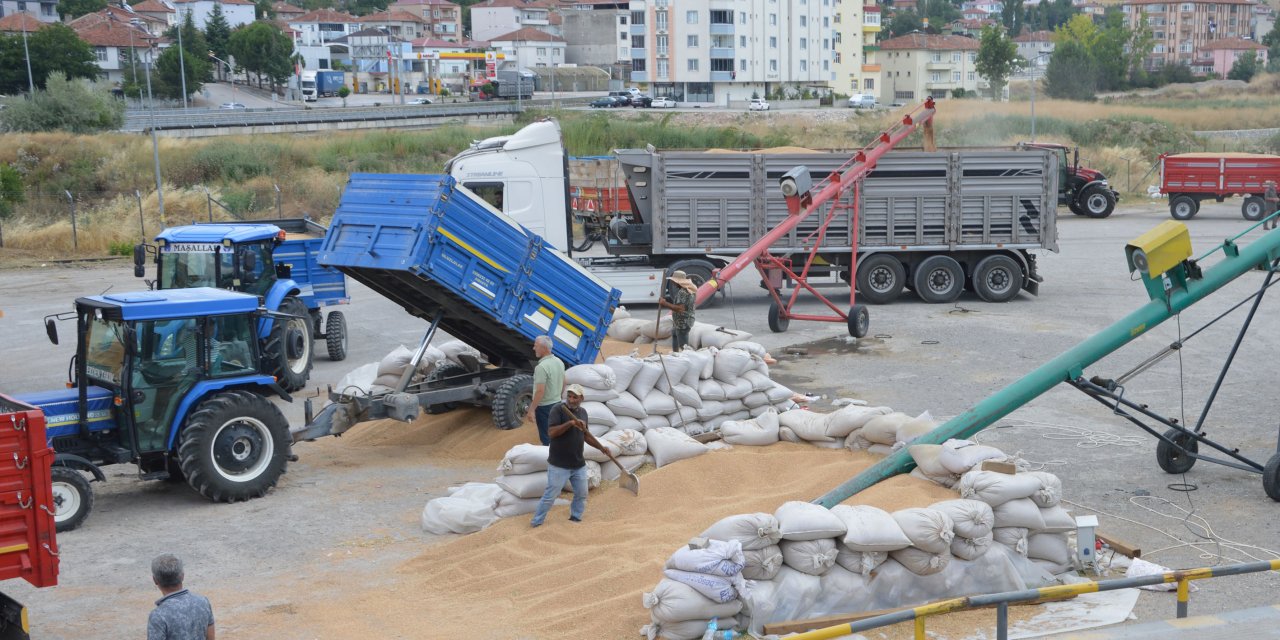 TMO buğday alımları devam ediyor