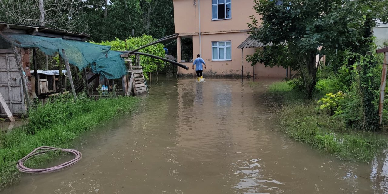 Samsun'da sağanak nedeniyle bazı tarım alanlarını su bastı
