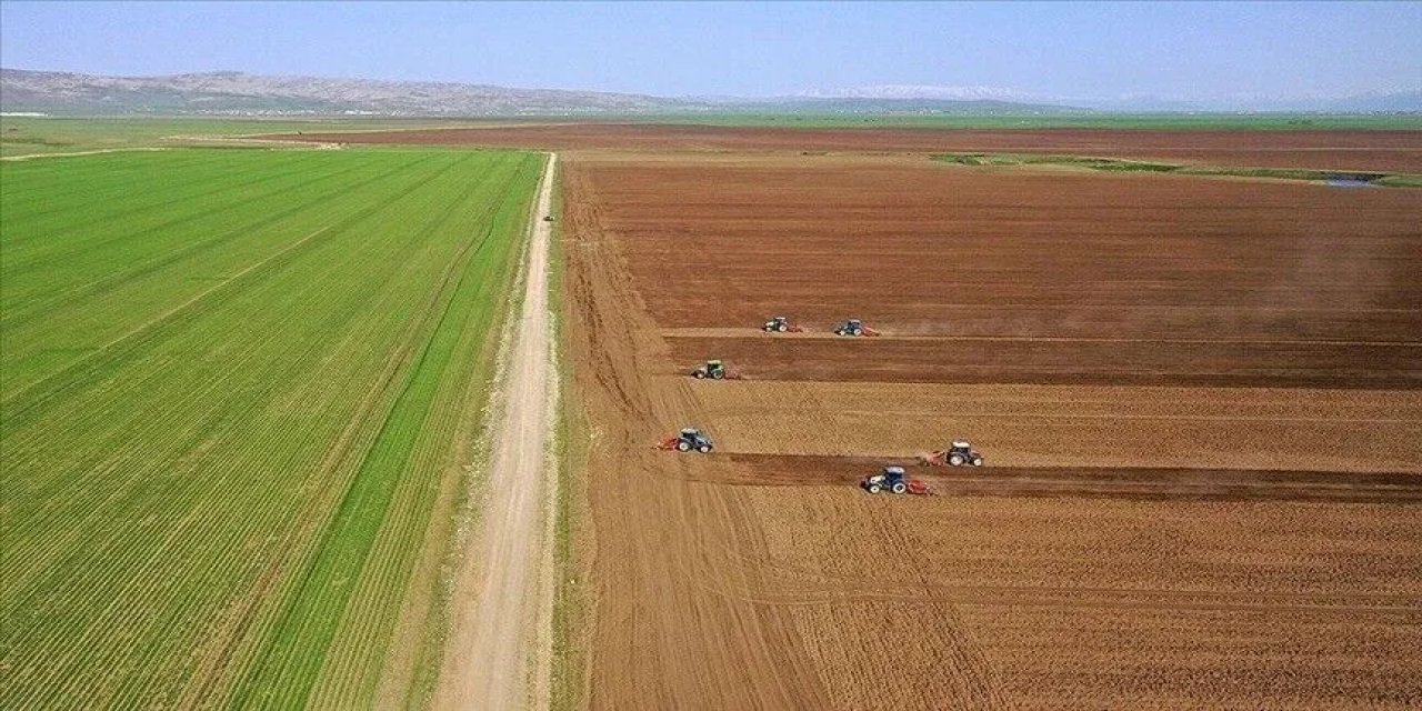 Tarımsal girdi fiyat endeksi aylık bazda azaldı