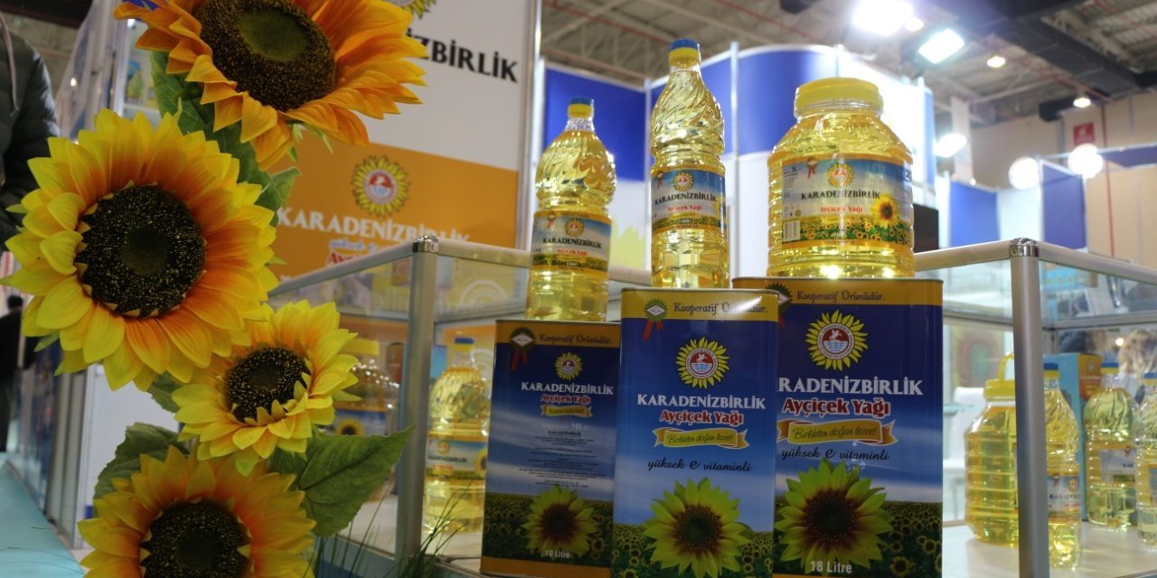 KARADENİZBİRLİK ayçiçeği alımlarına başladı