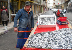 Hamsi fiyatları düşmeye başladı