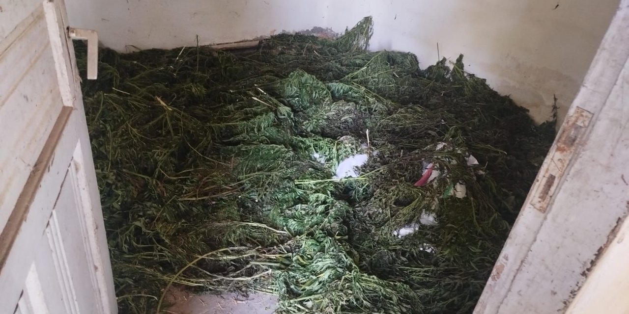 Uyuşturucu operasyonunda 63 kilogram kubar esrar ele geçirildi