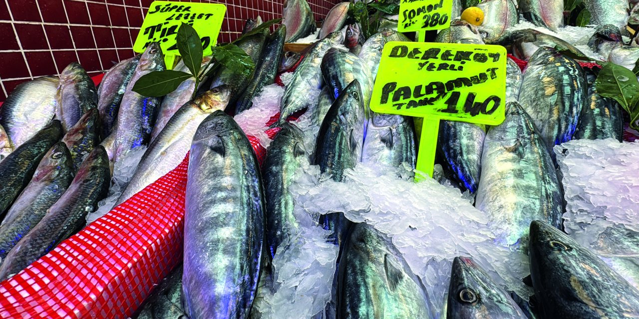 Karadeniz'de palamut bolluğu