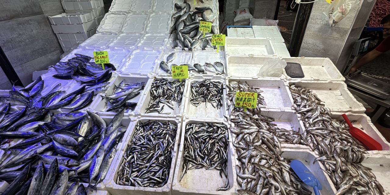 Karadeniz'de balık bolluğu tezgahlara yansıdı