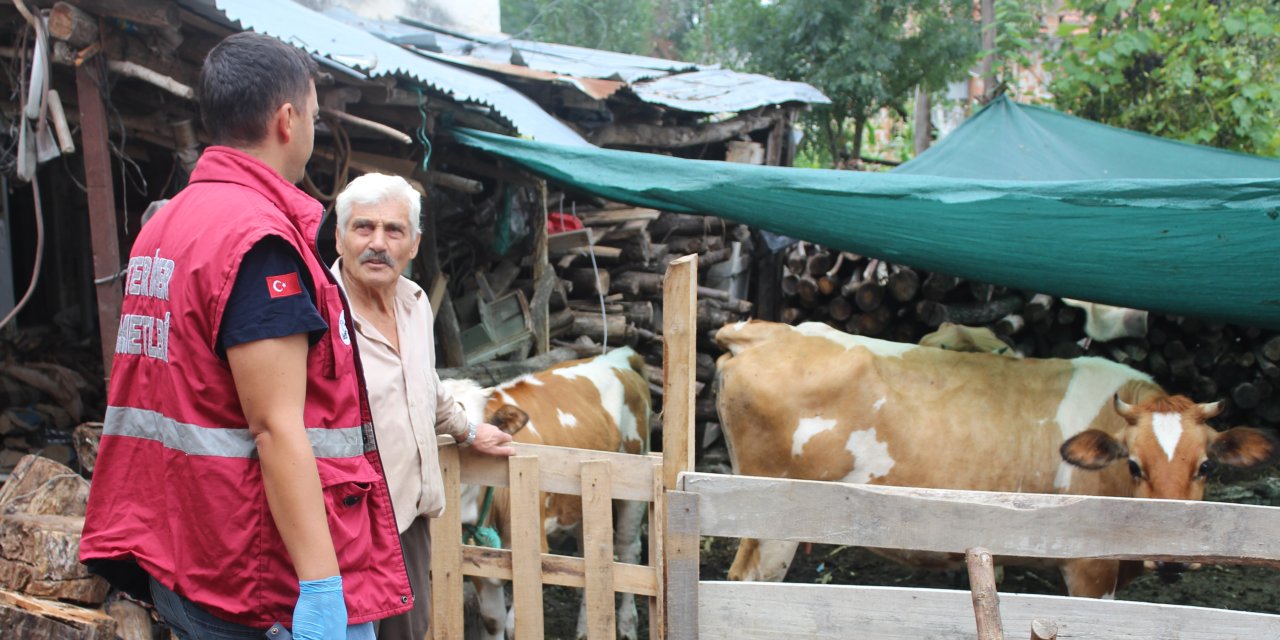 Samsun'da sonbahar dönemi aşılama çalışması sürüyor