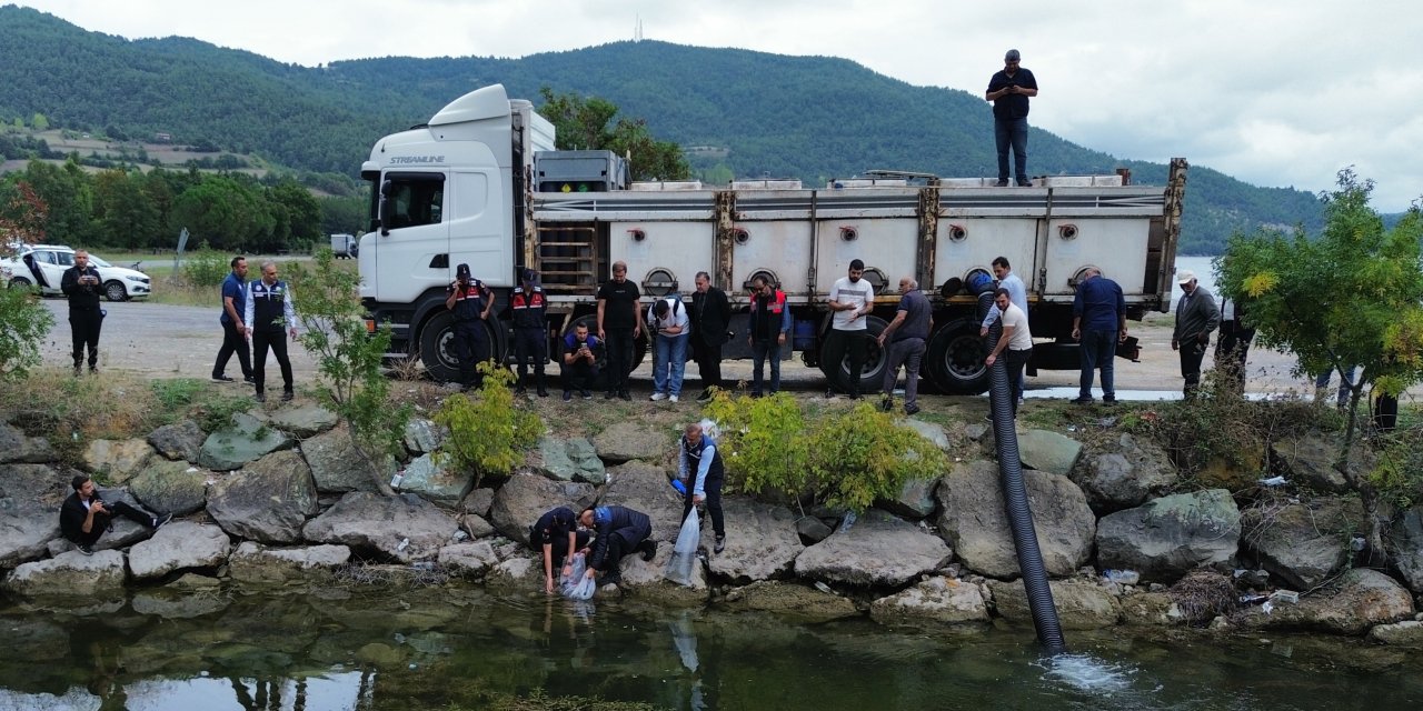 Samsun'da 2 milyon 412 bin sazan yavrusu bırakılacak