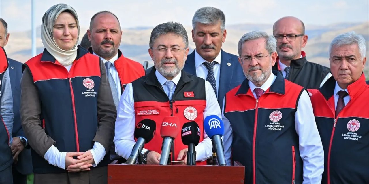 TMO, bu yıl 12,3 milyon ton hububat aldı