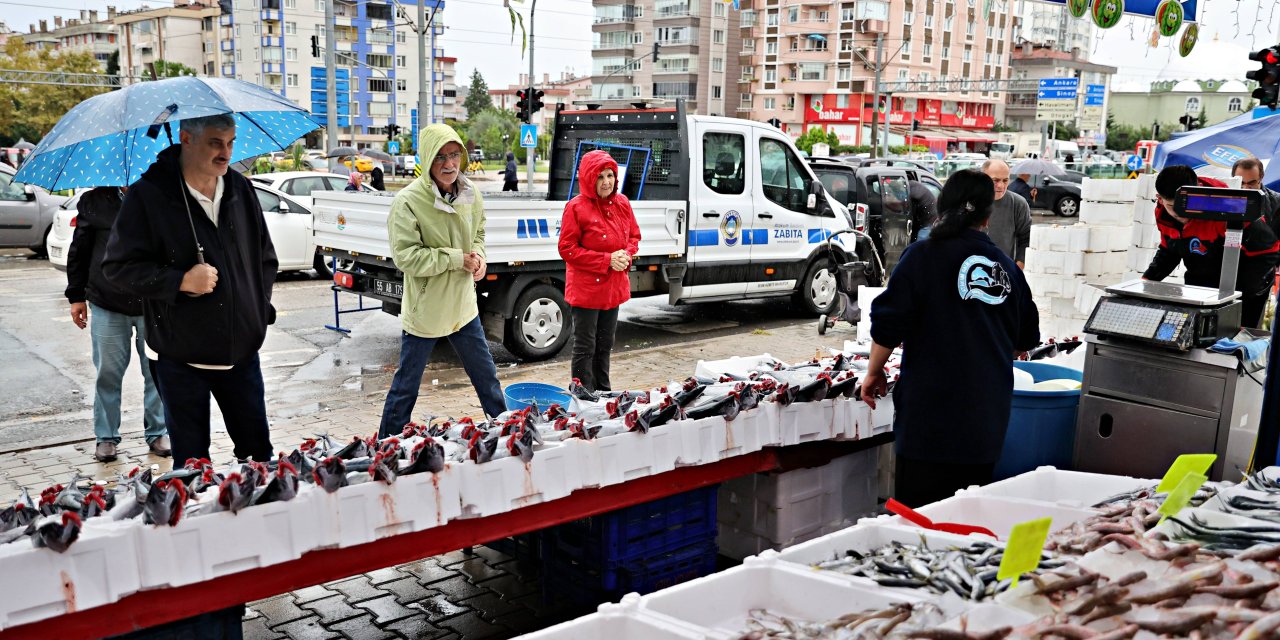 Palamut bolluğu balıkçıların yüzünü güldürdü