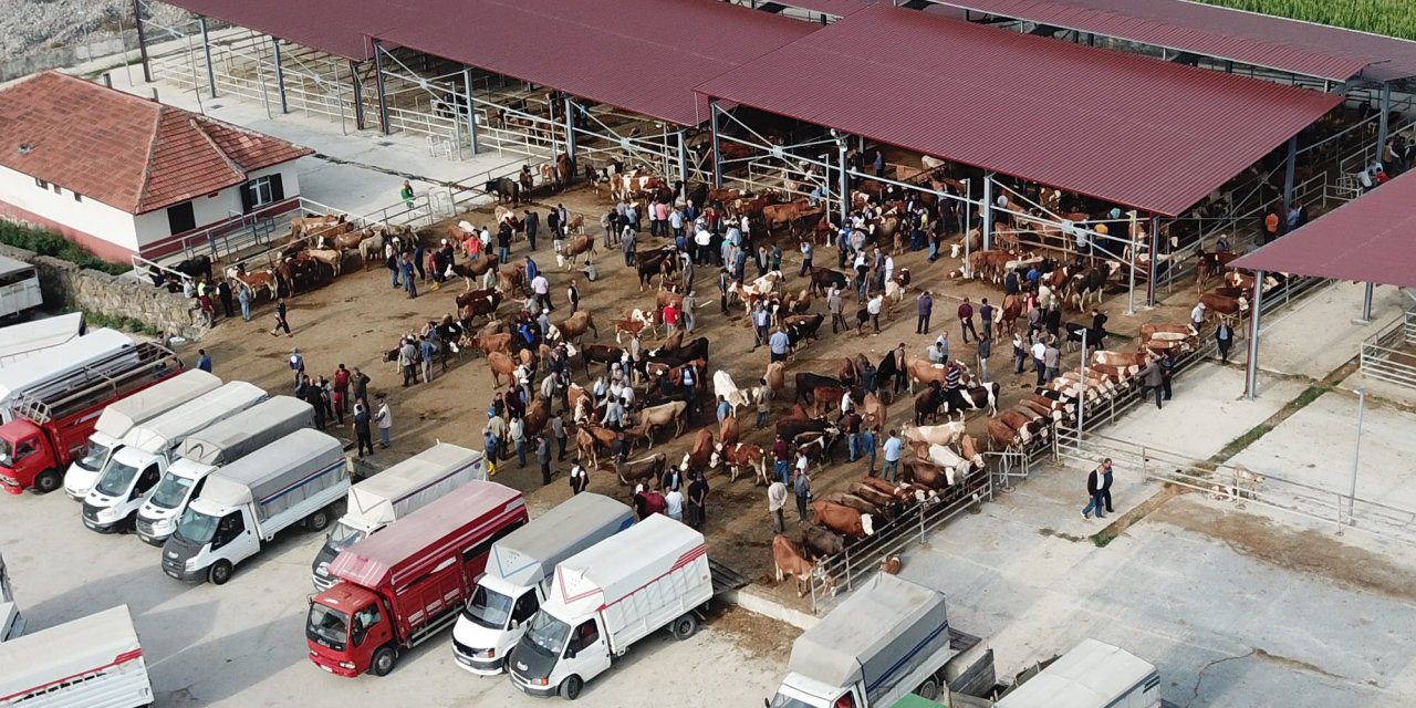 Havza'da canlı hayvan pazarı kapatıldı