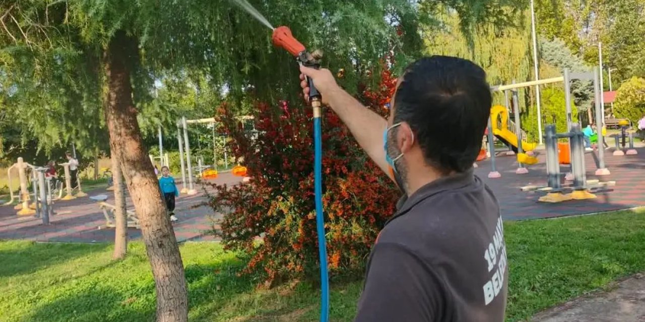 Kahverengi kokarca zararlısına karşı mücadele sürüyor