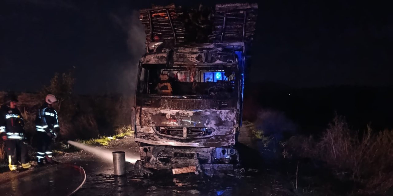 Yangın çıkan kamyon kullanılamaz hale geldi